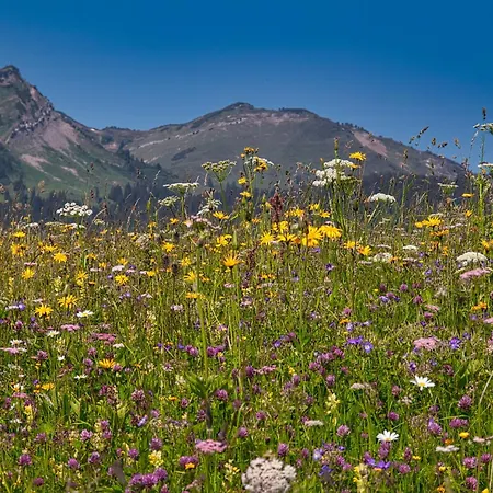 In Near Slopes Apartmán Bichlbach